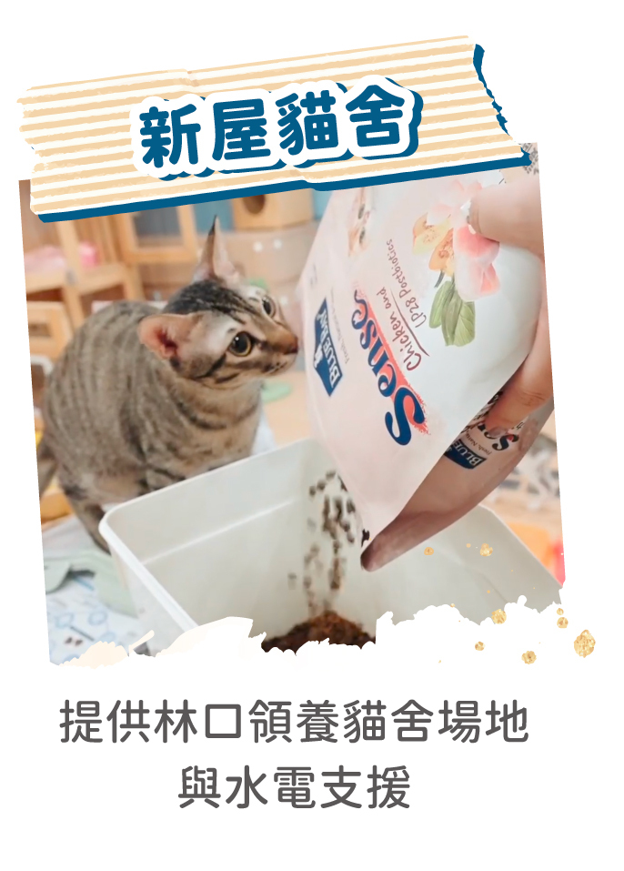 公益_新屋貓舍