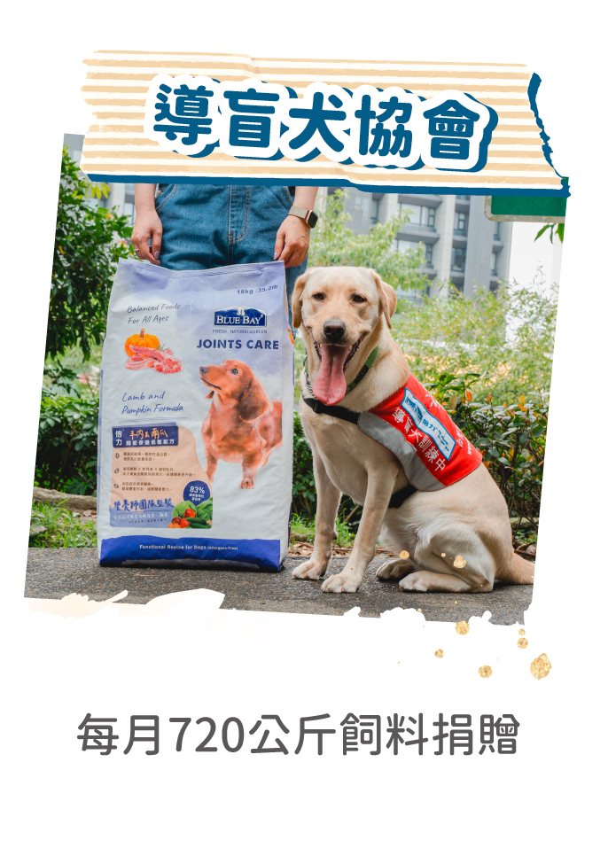 公益_導盲犬