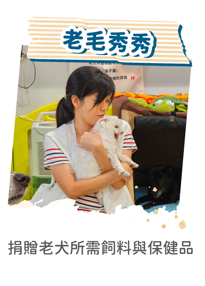 公益_老毛秀秀