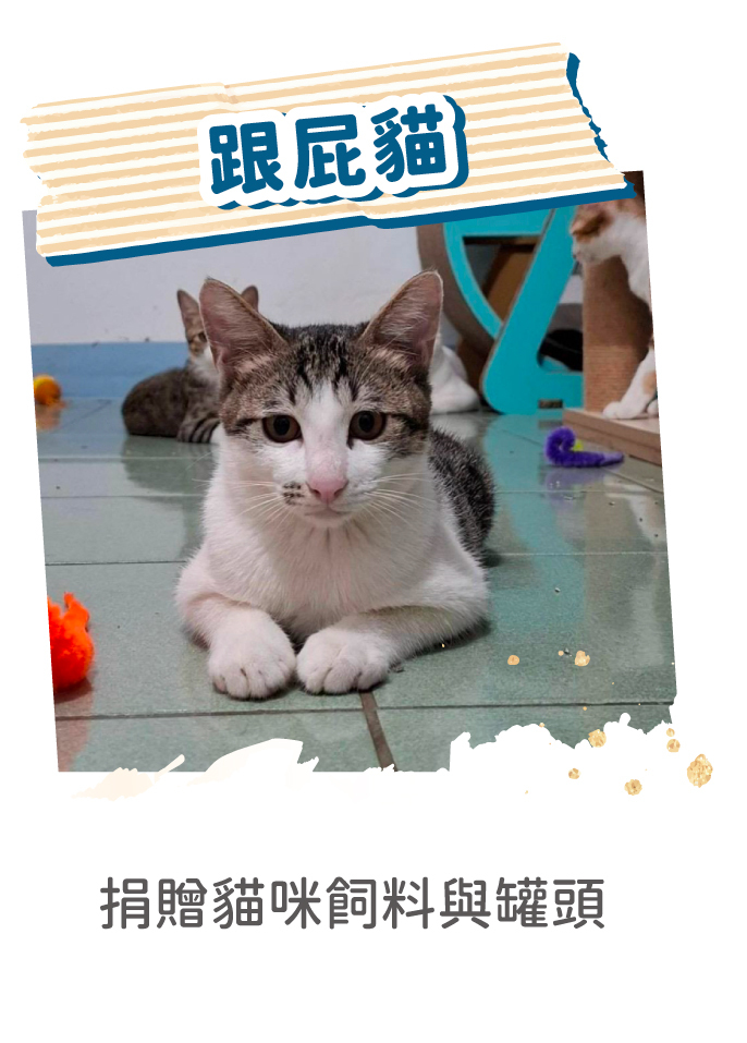 公益_跟屁貓