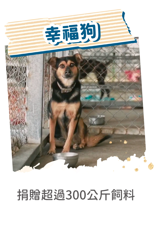 公益_幸福狗