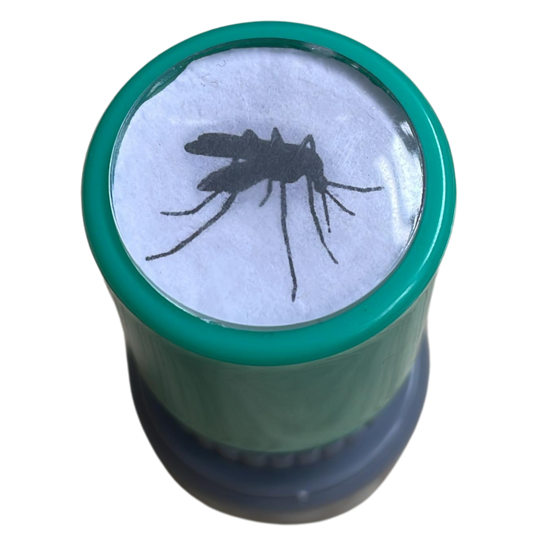 吸血蚊 整蠱人惡蚊印章| 蚊| 夏天帶來好多蚊| 煩蚊| 蚊叮蟲咬| 打開蚊帳