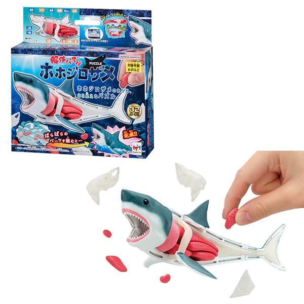 MEGAHOUSE 代理版 益智桌遊 自然科學系列 鯊魚 趣味拼圖 MH518035