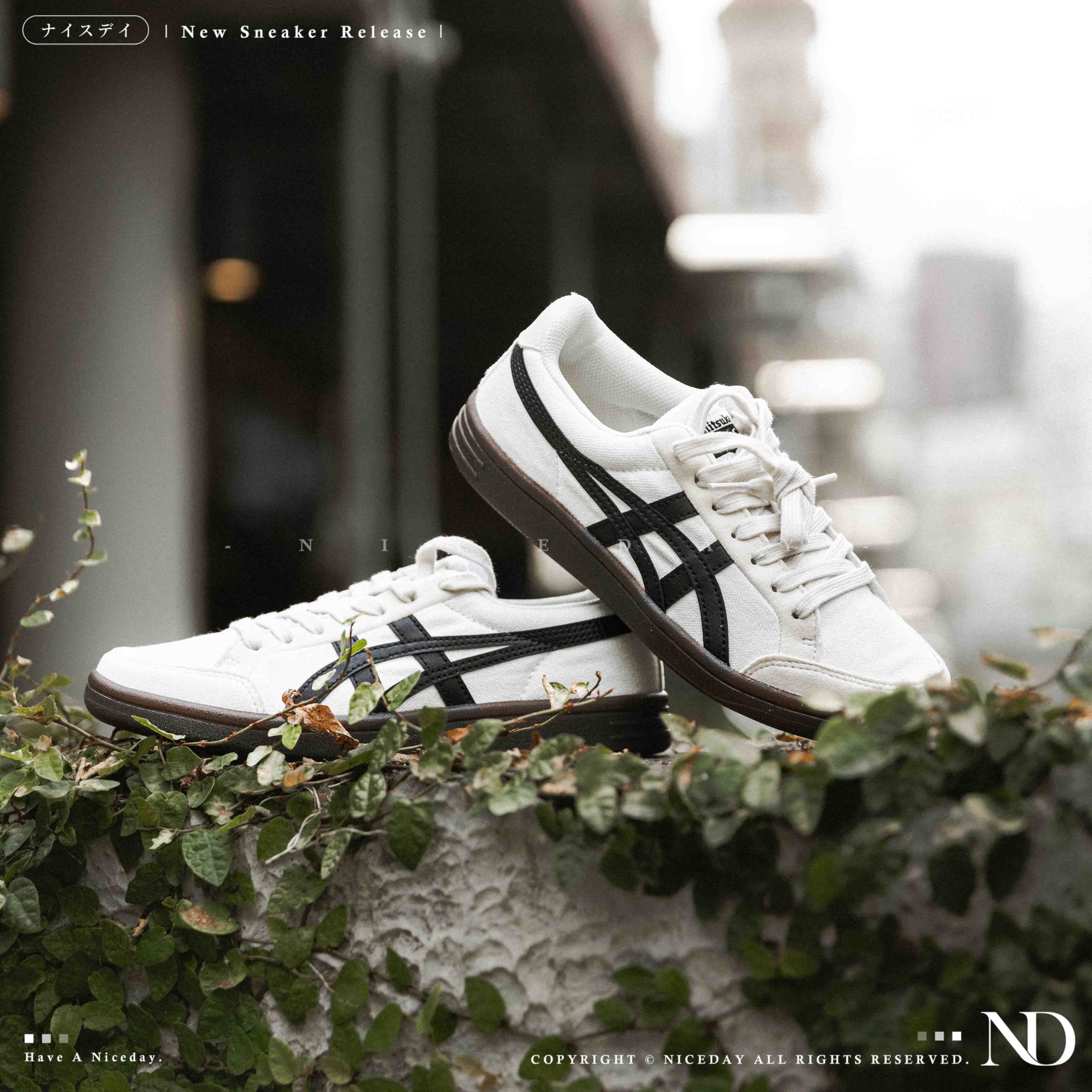 NICEDAY 代購 Onitsuka Tiger 鬼塚虎 Advanti 米白 黑 咖啡 米色 白色 1183B799-101