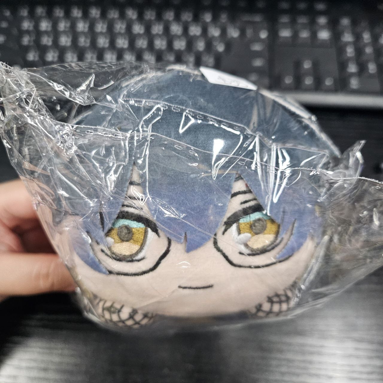 彩虹社 IKE 公仔 #243