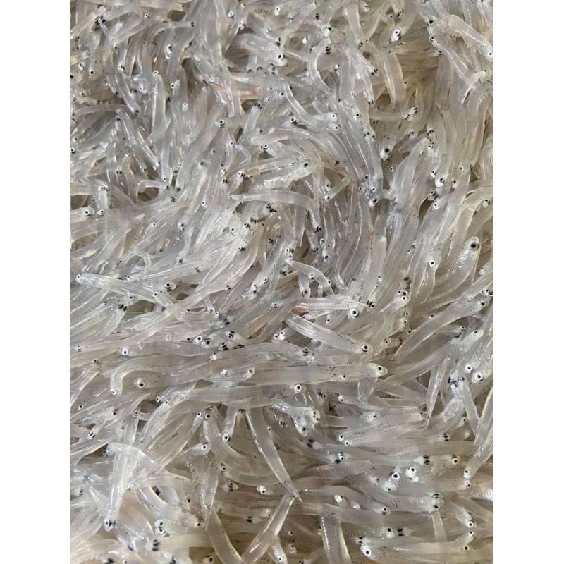 【樂森藥局】(冷凍1500免運中)永圻食品 『無鹽』生凍一口吻仔魚-120g (須清洗再料理)