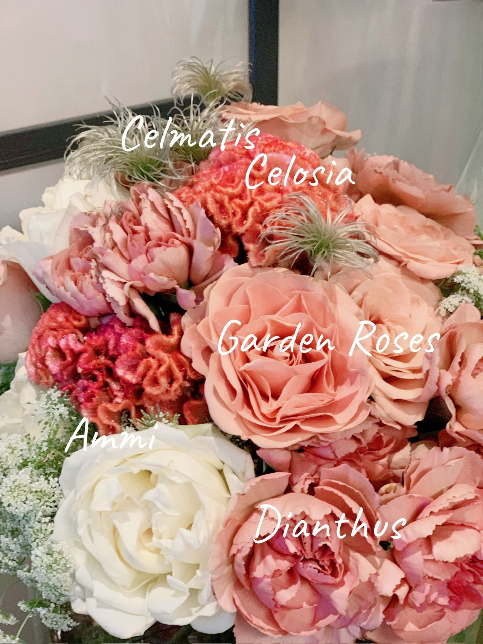 Fresh Cut Flowers Subscription