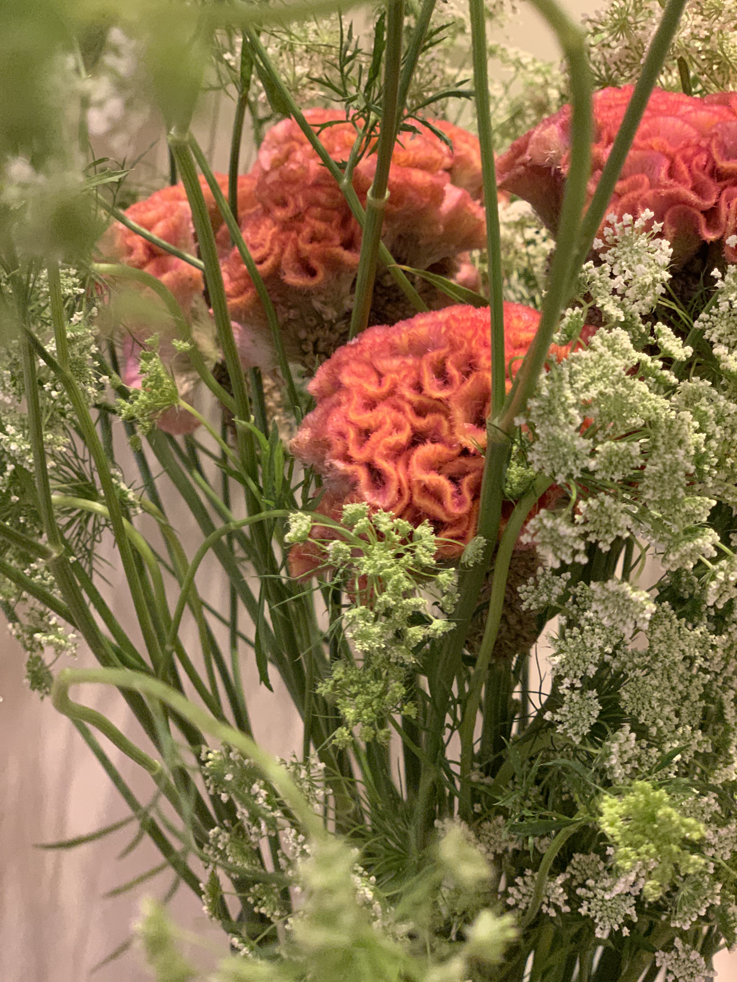 Fresh Cut Flowers Subscription