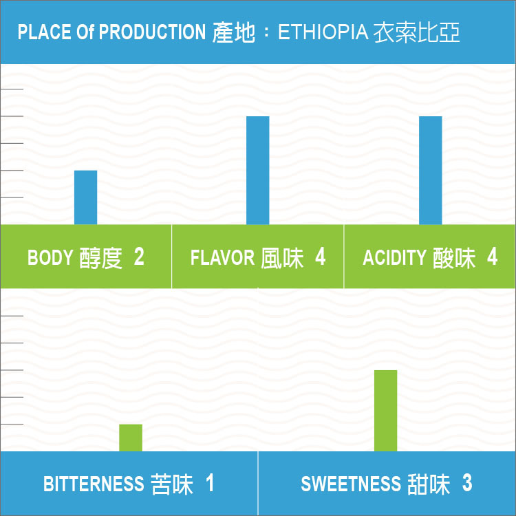衣索比亞 蓋德奧 耶加雪菲 潔蒂普鎮 班可果丁丁村 乾式發酵水洗 G1