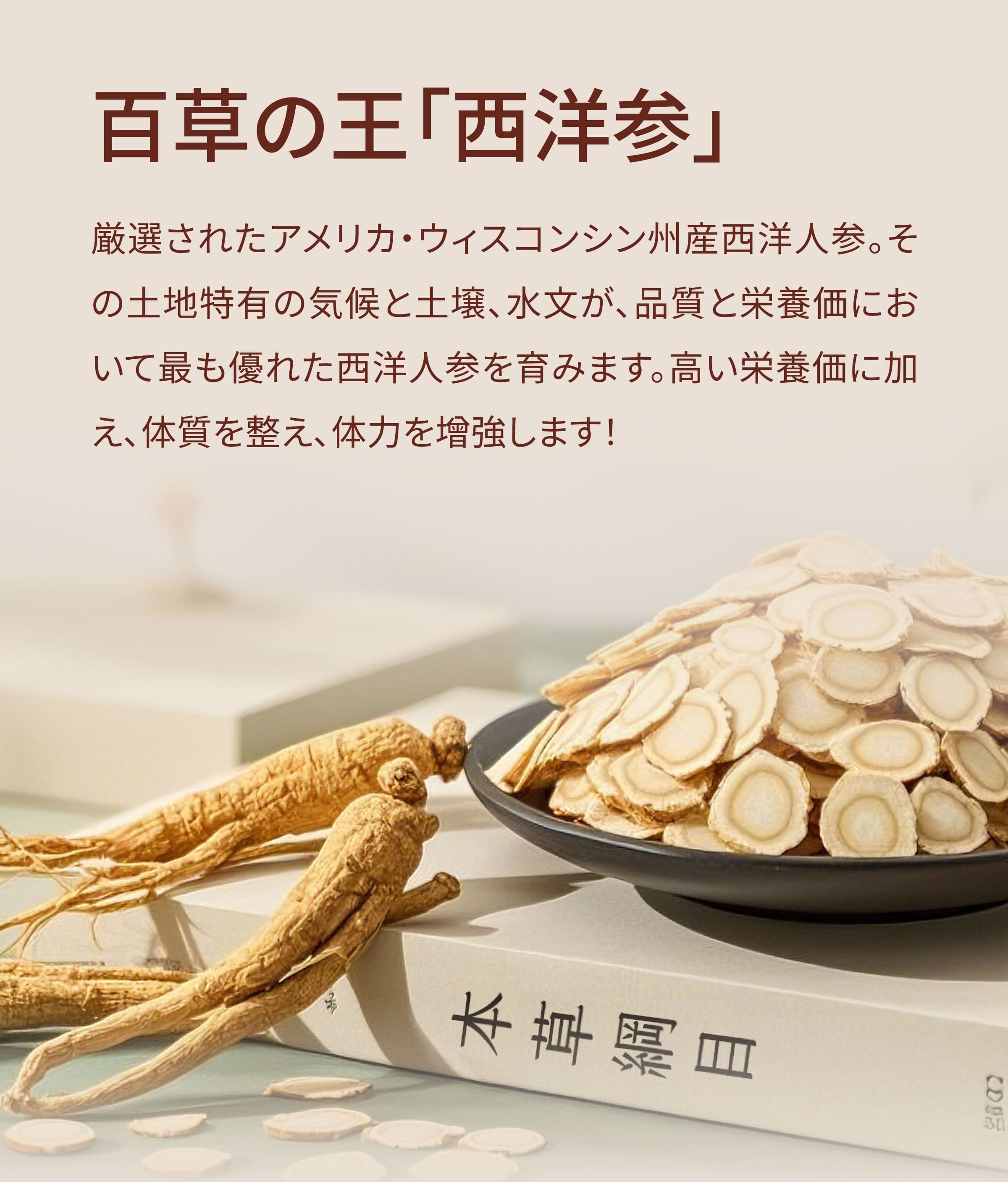 Dengyi 西洋参の紹介