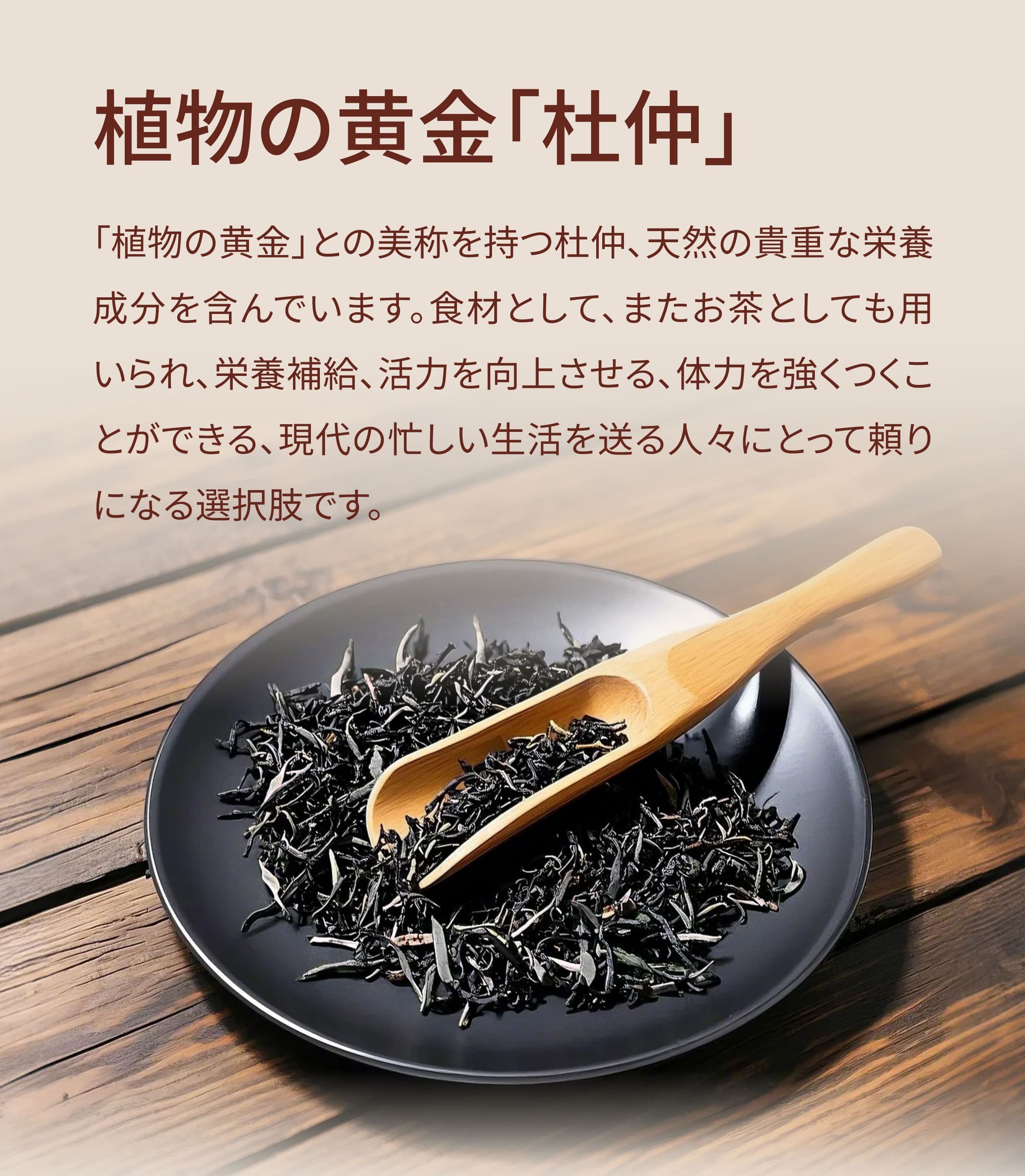 Dengyi 杜仲 の紹介