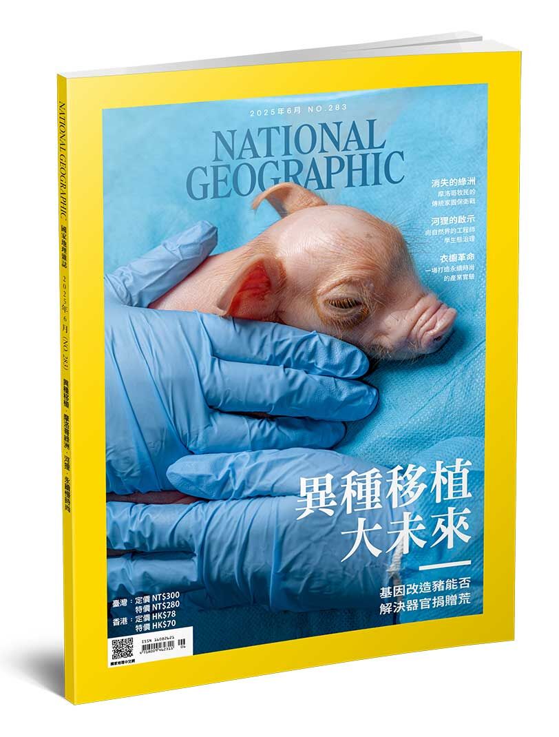 國家地理雜誌_雜誌283期2025年6月號-異種移植大未來-基因改造豬能否解決器官捐贈荒