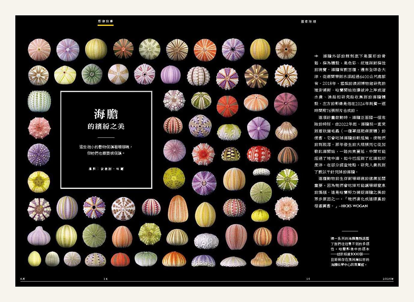 <img src="pig-organ-transplant-xenotransplantation-02.jpg" alt="2025年國家地理雜誌6月號、異種移植大未來2">