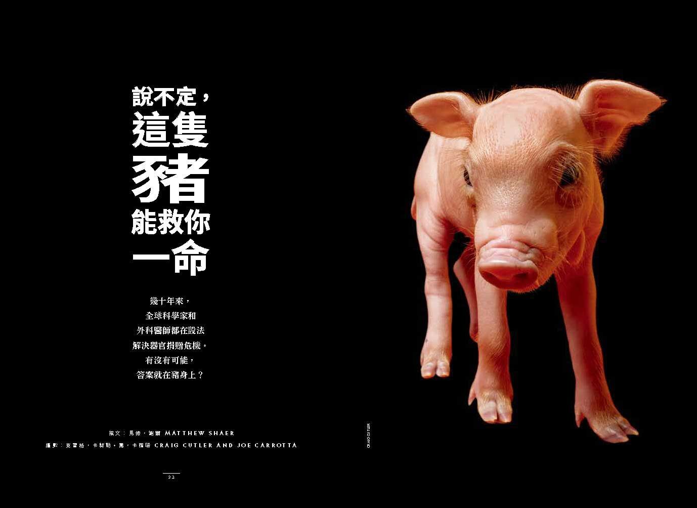 <img src="pig-organ-transplant-xenotransplantation-06.jpg" alt="2025年國家地理雜誌6月號、異種移植大未來6">