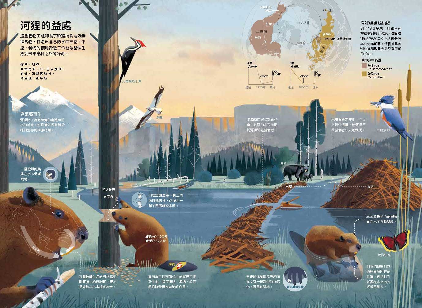 <img src="pig-organ-transplant-xenotransplantation-09.jpg" alt="2025年國家地理雜誌6月號、異種移植大未來9">