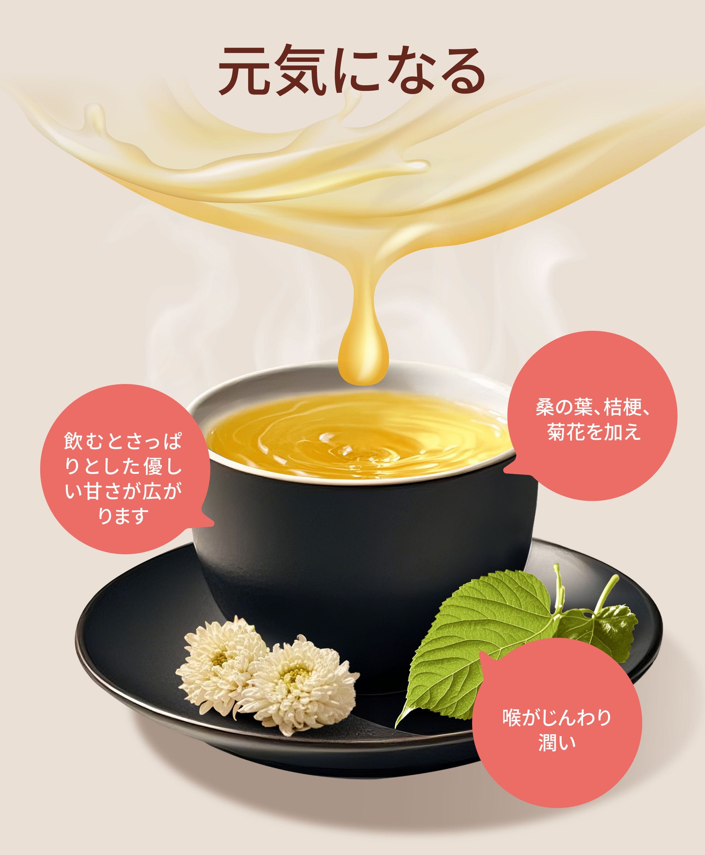 Dengyi 元気になるの特徴