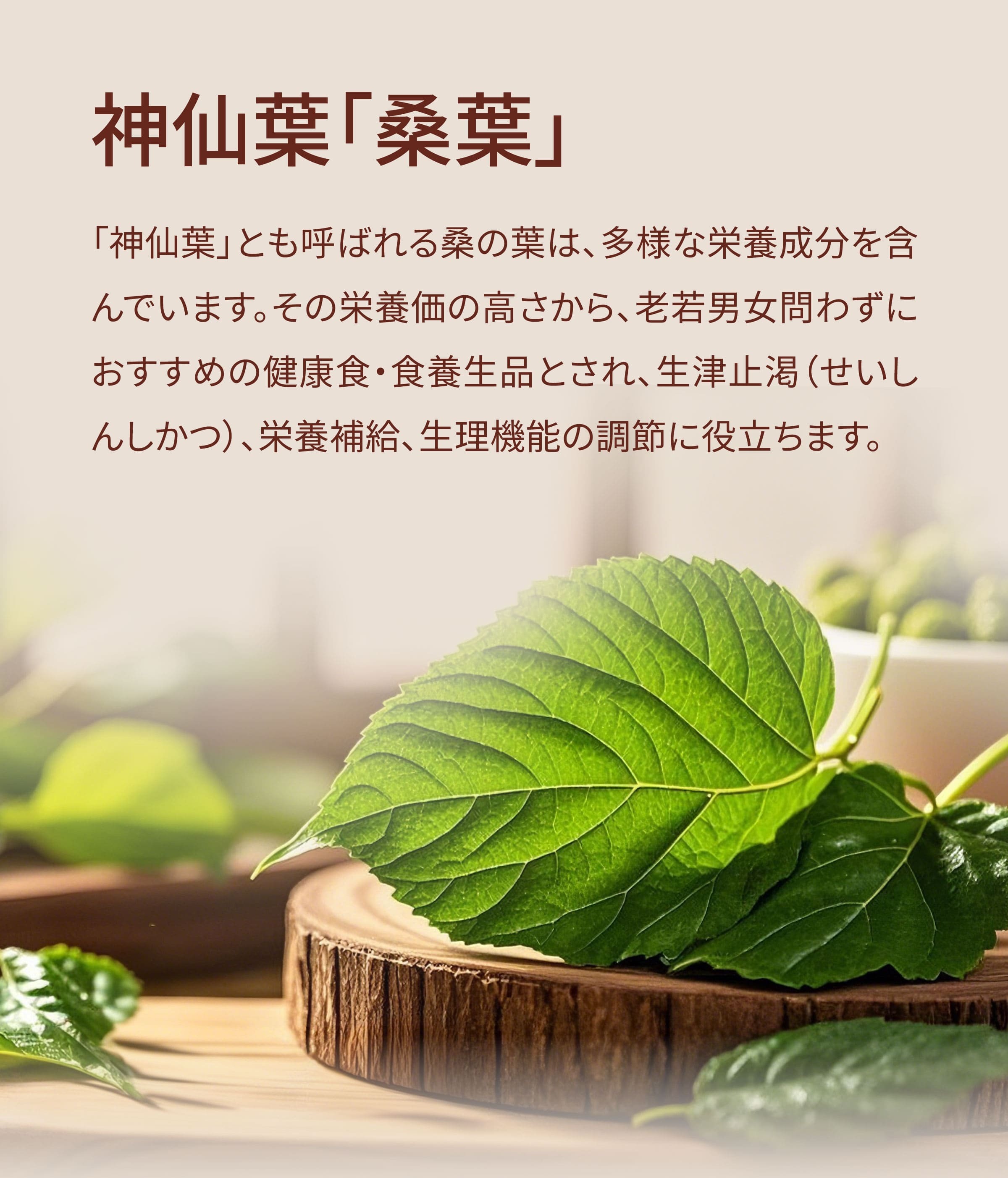 Dengyi 元気になるの紹介