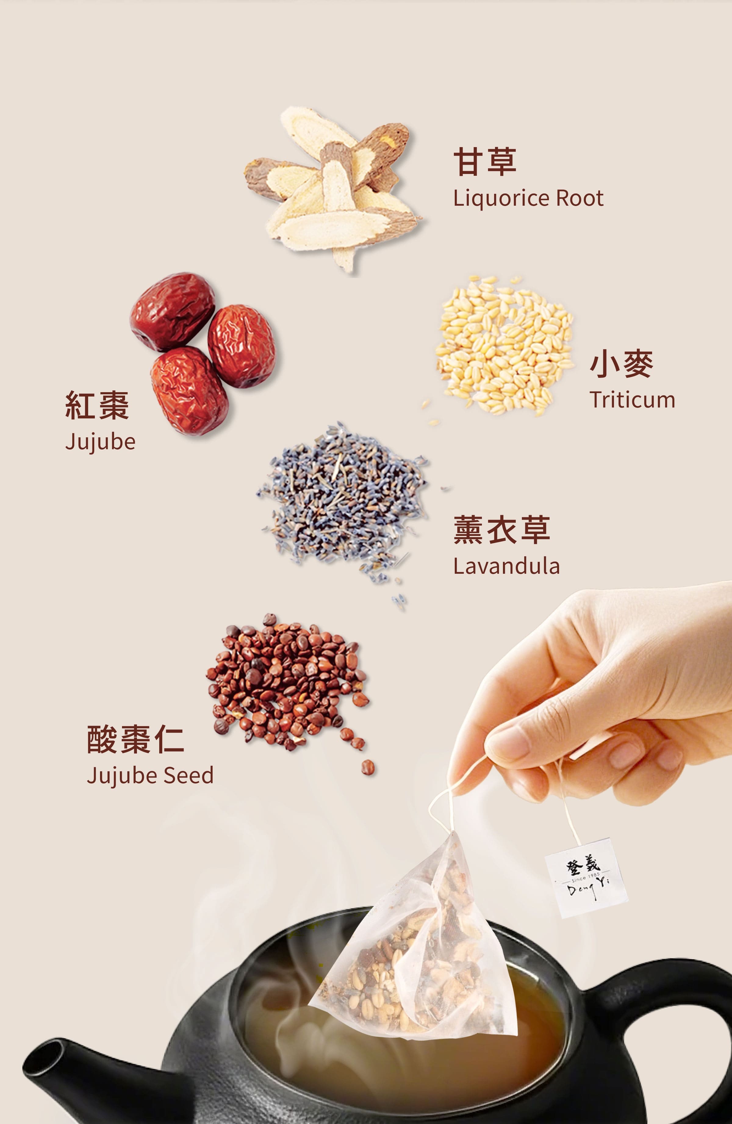 Dengyi 漢方茶(ラベンダーとサンソウニン) の材料