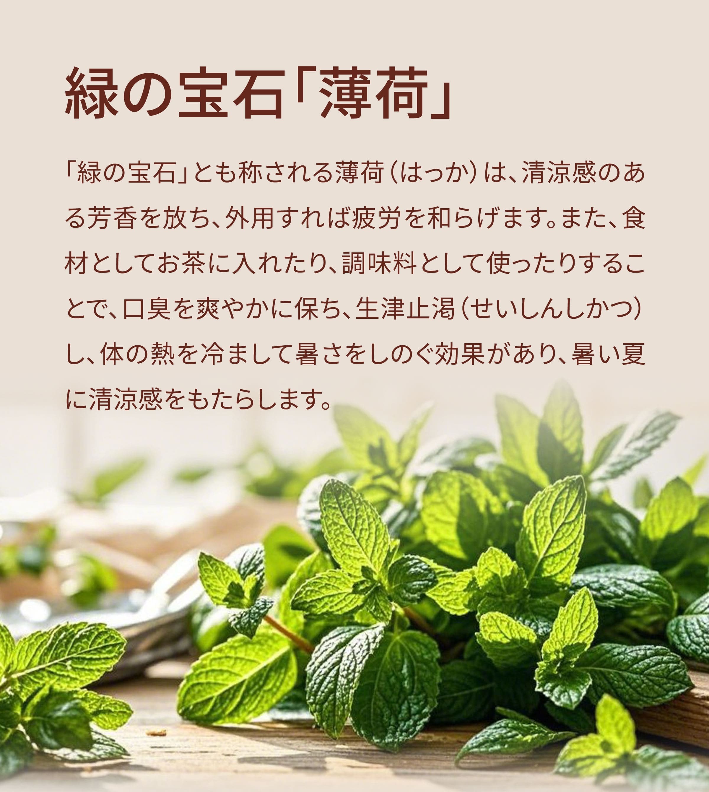 Dengyi 台湾ハーブ茶の紹介