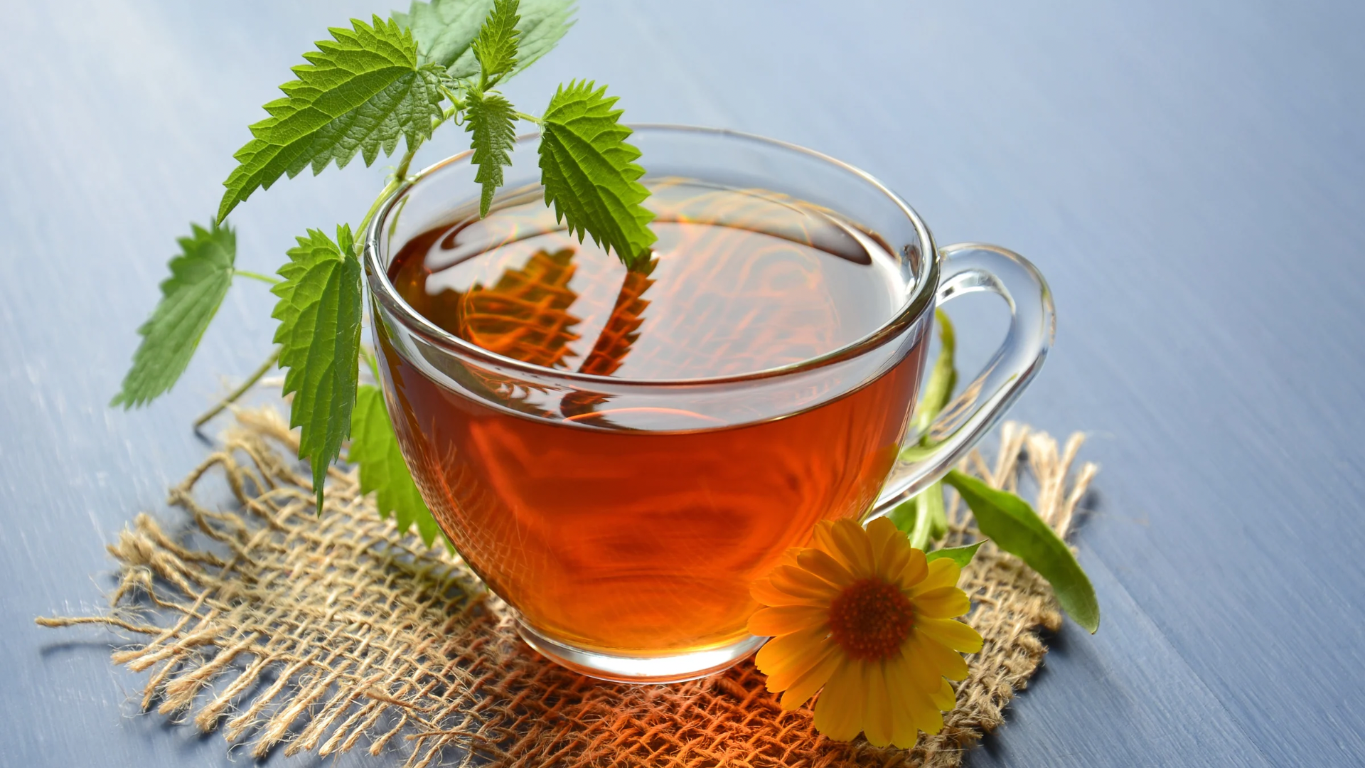 決明子茶,養生茶飲,中藥雞湯,芒種,二十四節氣,