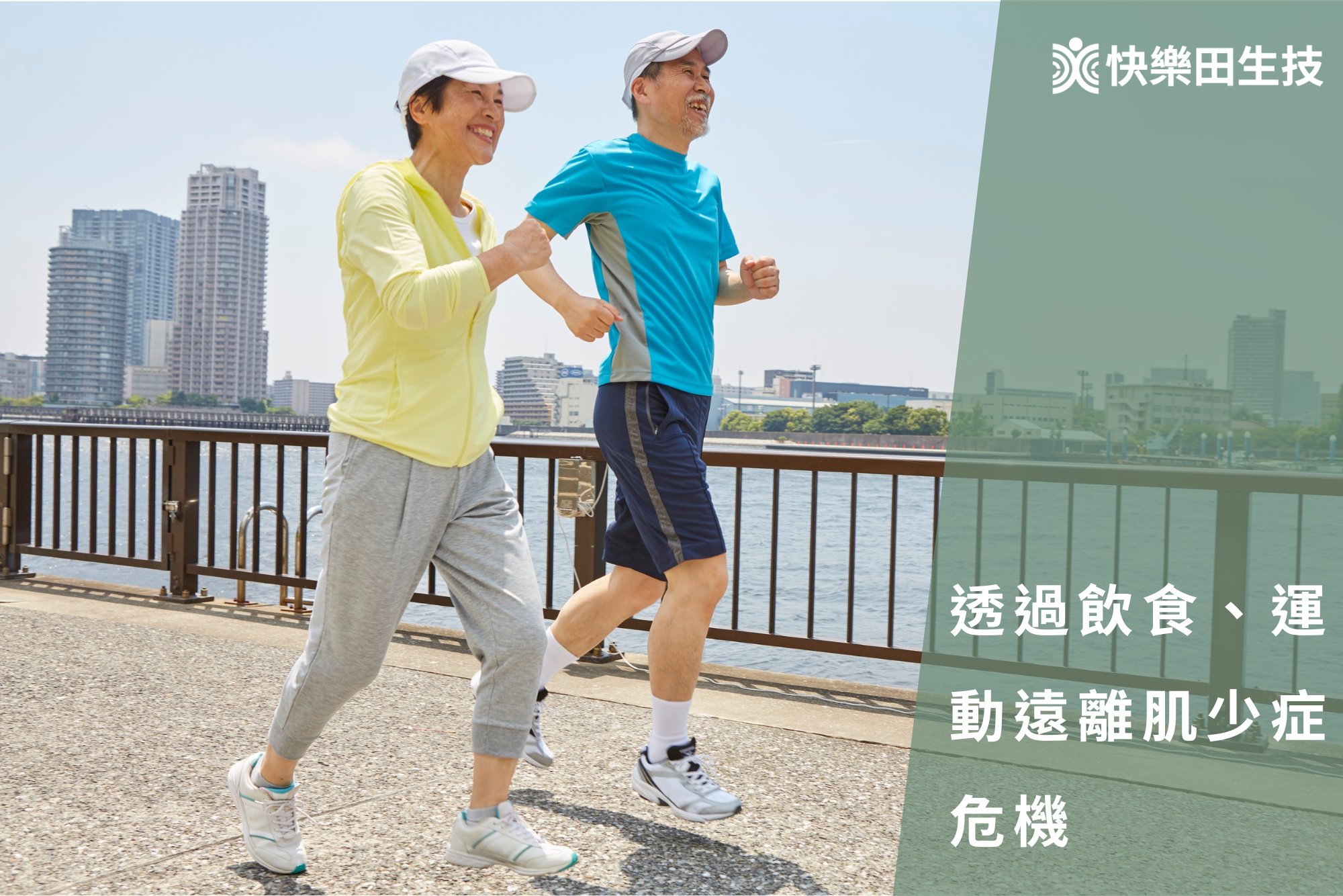 肌少症,增加肌肉,蛋白質