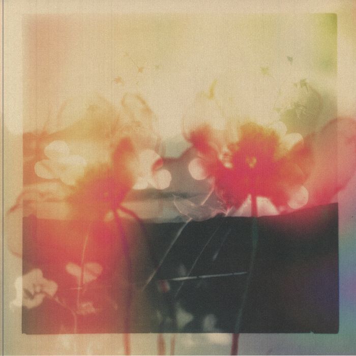Gyrofield《Akin》（12"）
