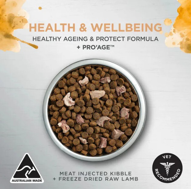 Ivory Coat 健康管理養生成貓糧 (無穀物乾糧+生羊肉凍乾)