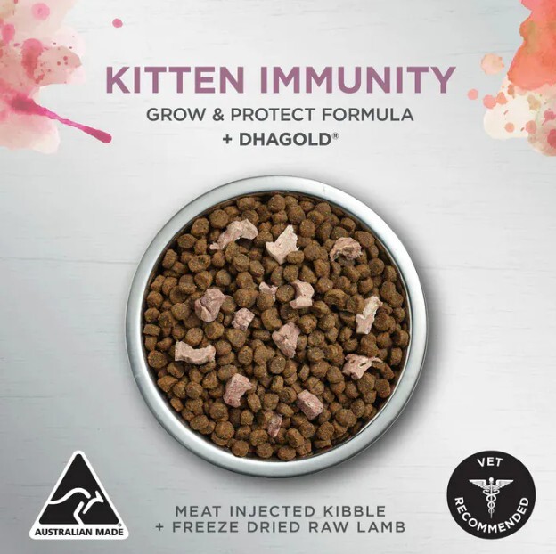 Ivory Coat 免疫力增強幼貓糧 (無穀物乾糧+生羊肉凍乾)