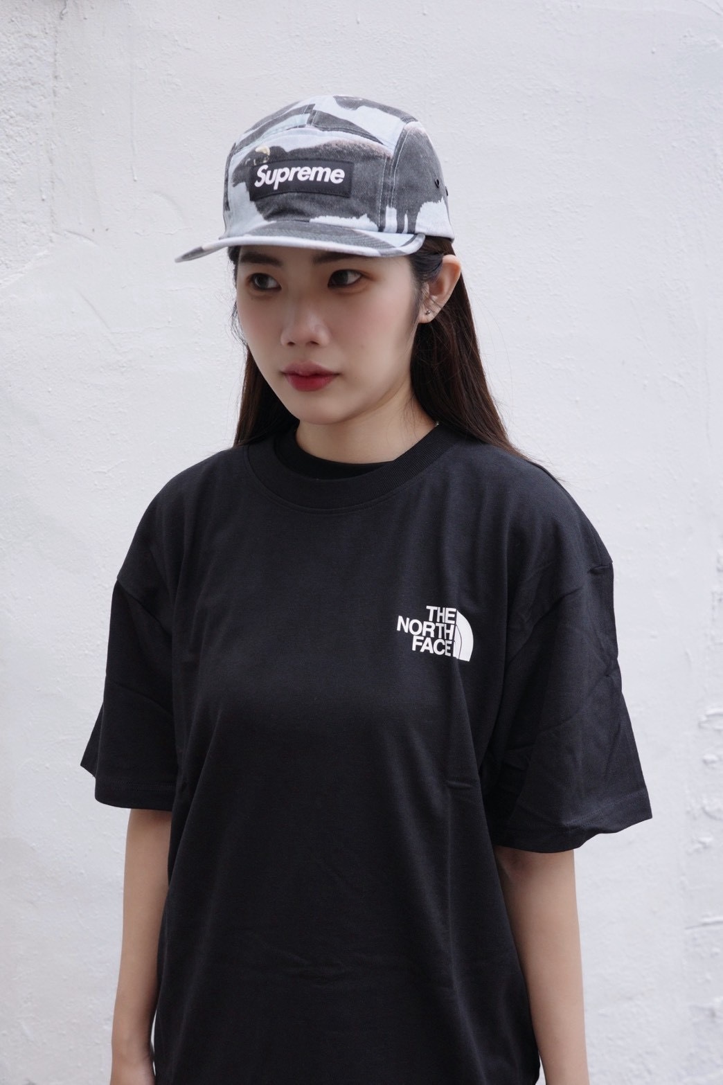 The North Face 北臉 燙金印花短t nf0a84gsogc1