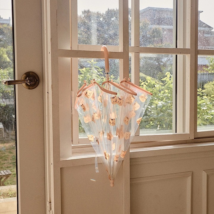 Rainy Day可愛松鼠透明雨傘🌂