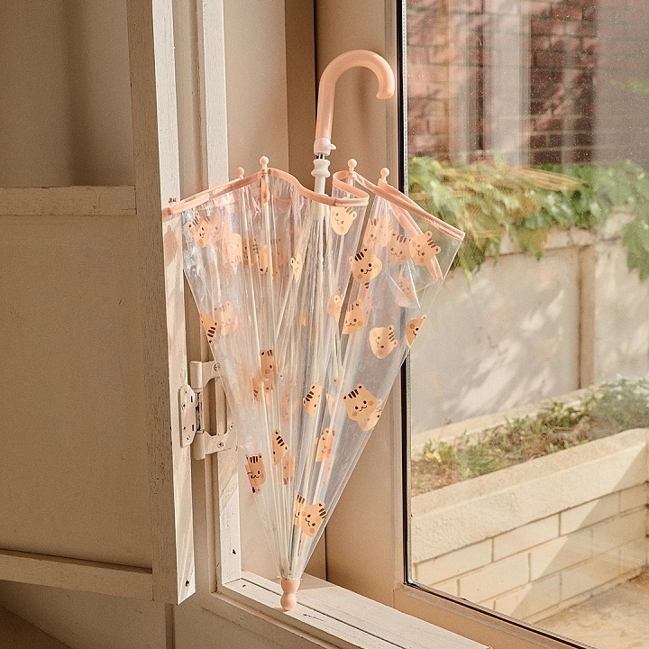 Rainy Day可愛松鼠透明雨傘🌂