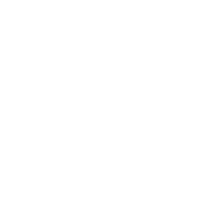電動清潔機