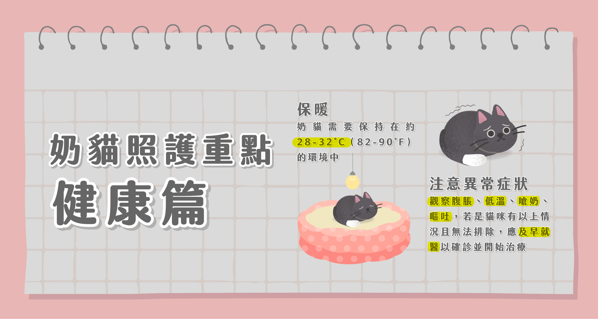 奶貓照護-健康篇