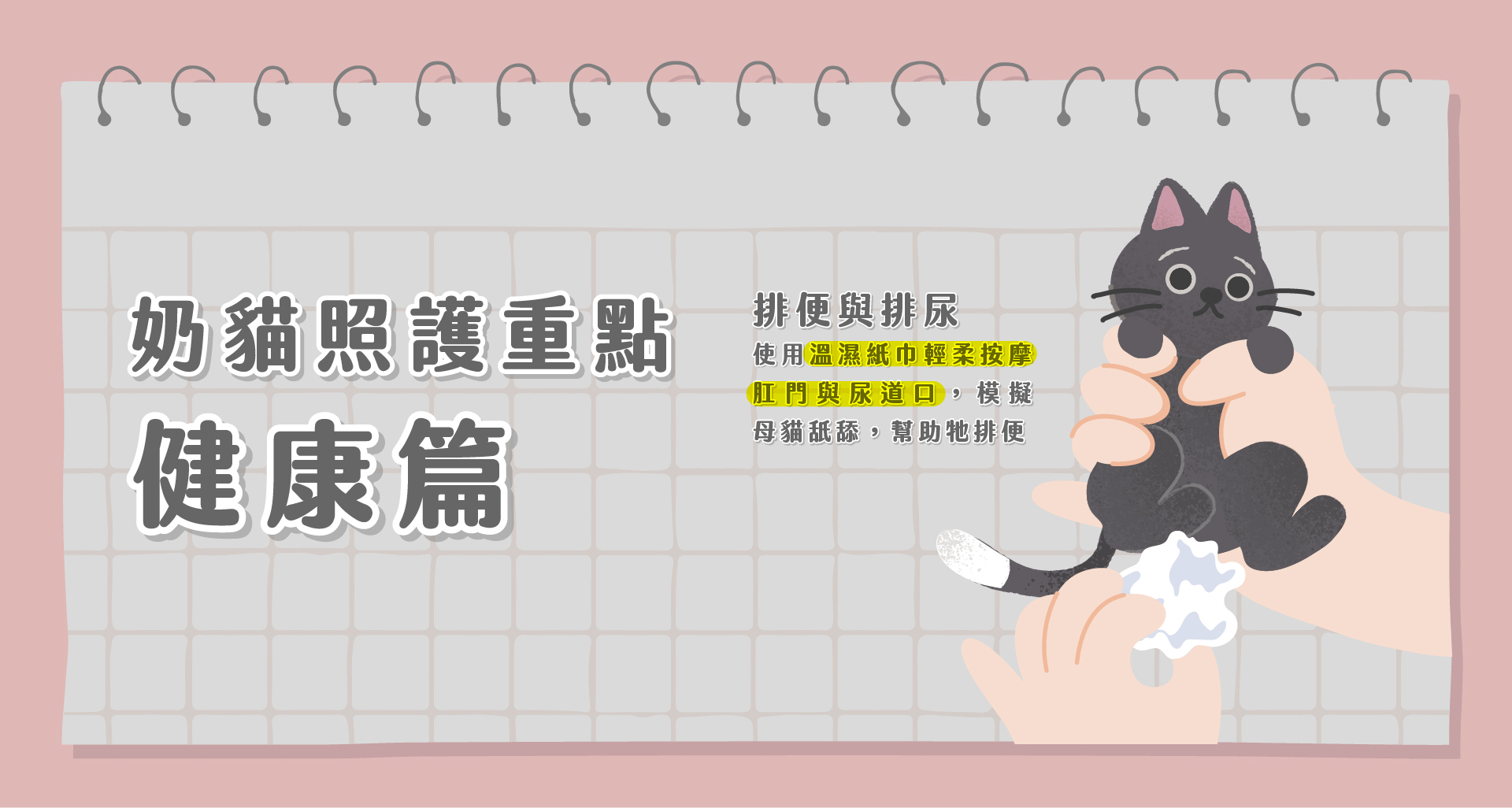 奶貓照護-健康篇