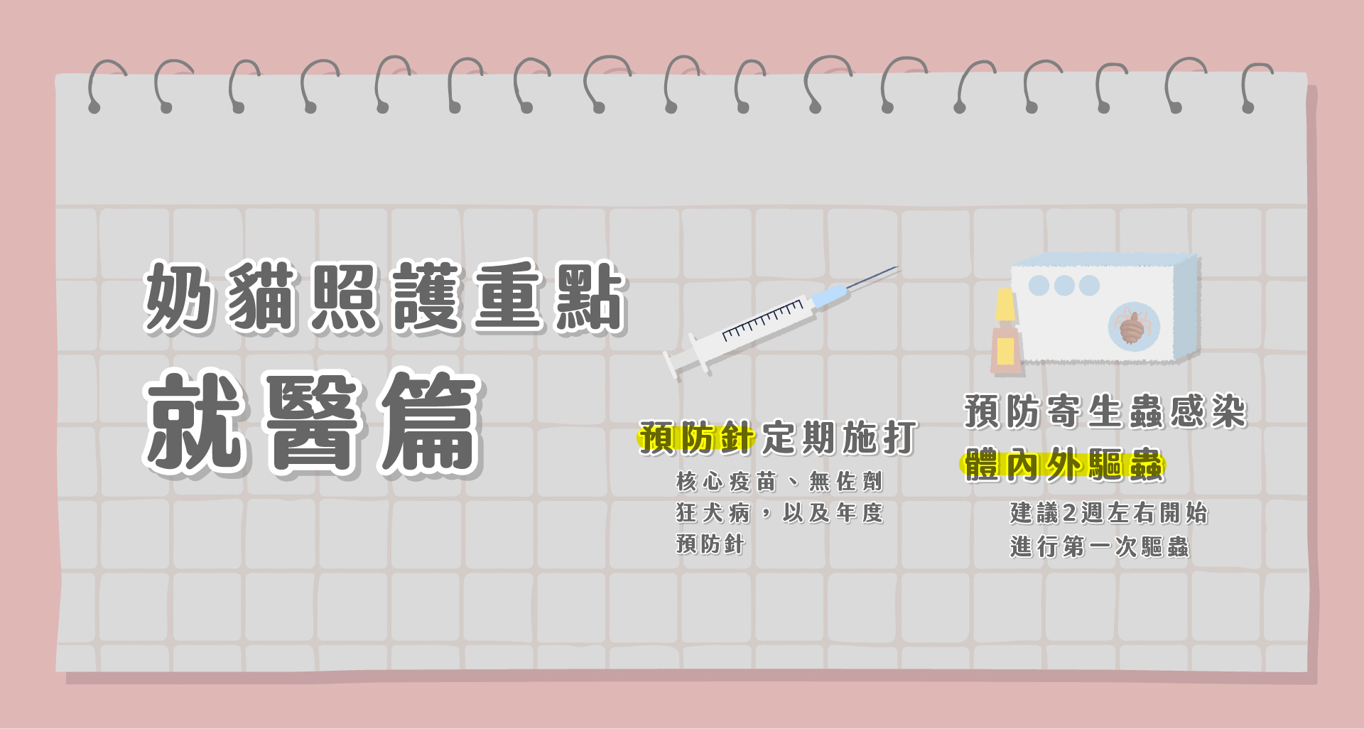 奶貓照護-就醫篇