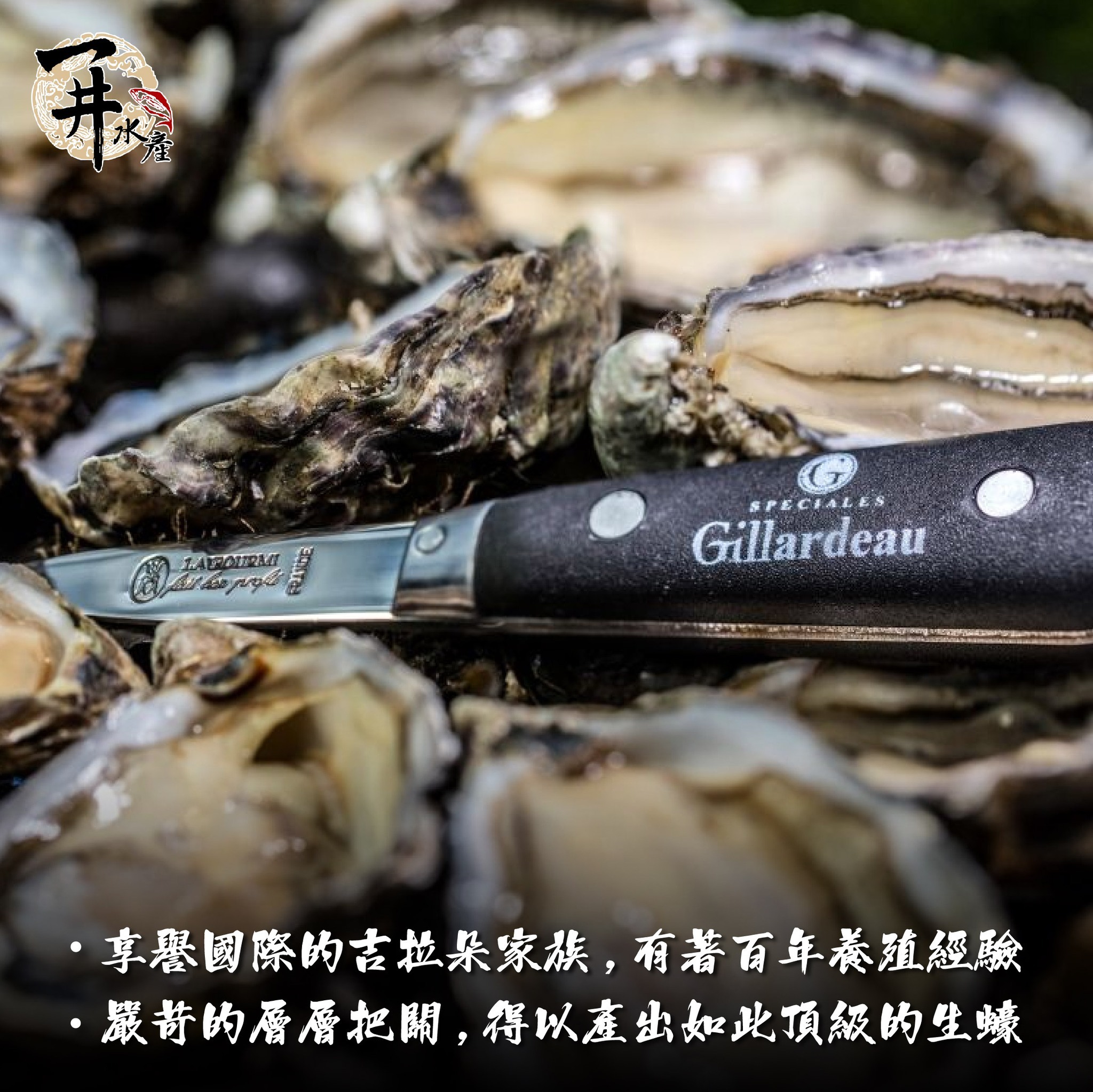 法國 吉拉朵生蠔 ⚠️冷藏寄送，請與冷凍商品分開下單⚠️