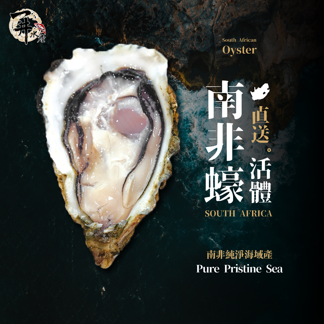 南非 生蠔 ⚠️冷藏寄送，請與冷凍商品分開下單⚠️