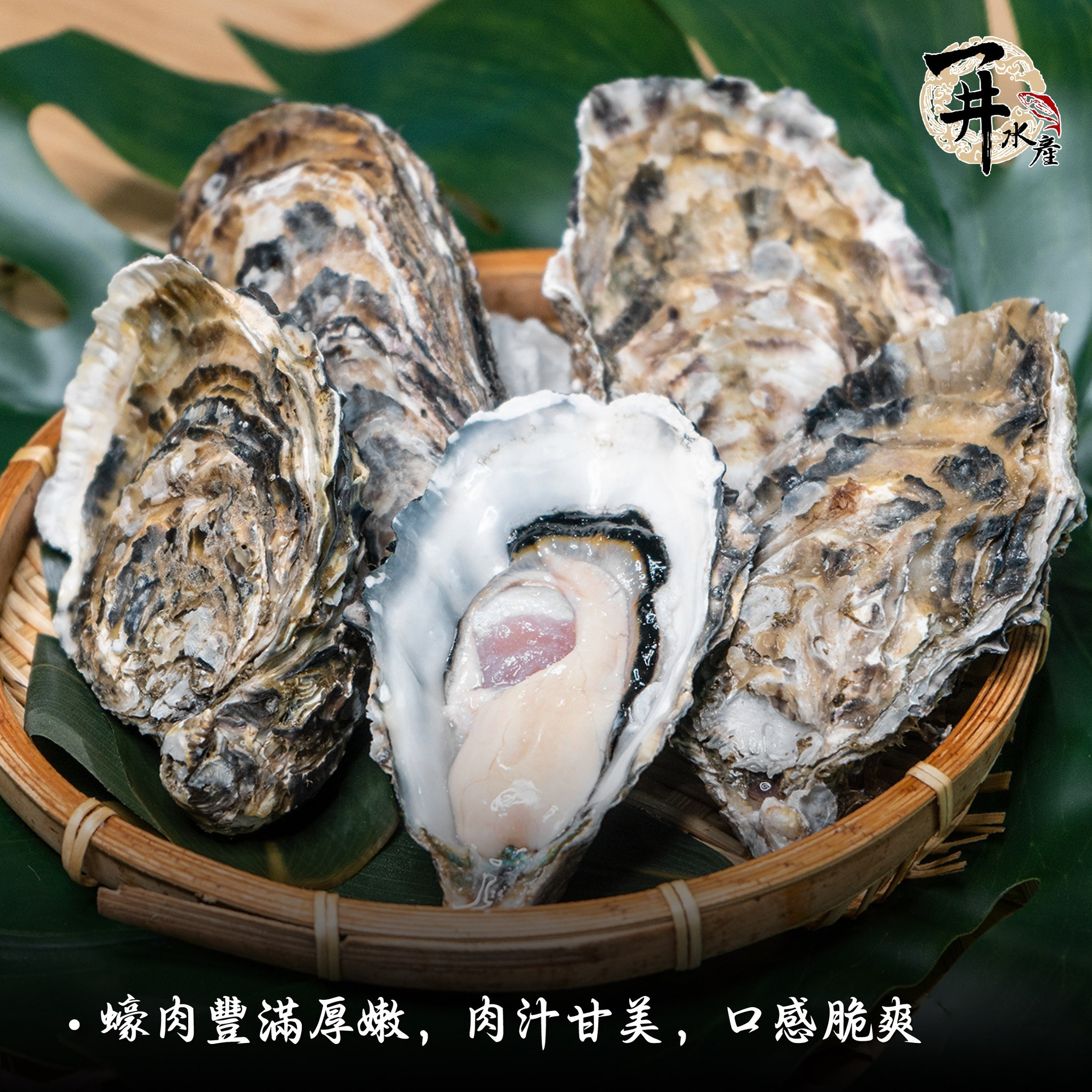 南非 生蠔 ⚠️冷藏寄送，請與冷凍商品分開下單⚠️
