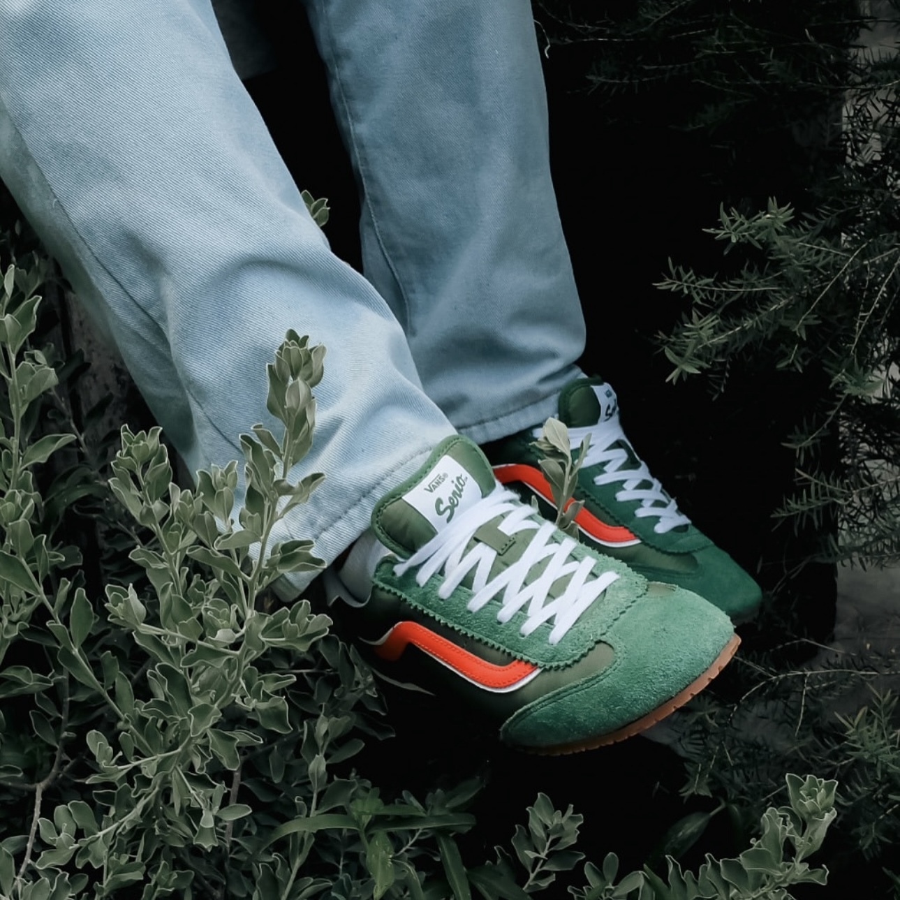 VANS SUPER LOWPRO 草綠 綠紅 麂皮 薄底鞋 男女款 VN000D83BR1