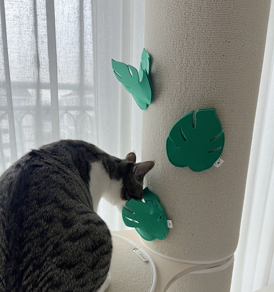 葉有埋伏┃森林系藏食玩具