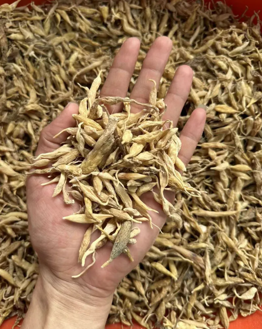 Z211 野生麥冬 300G $188