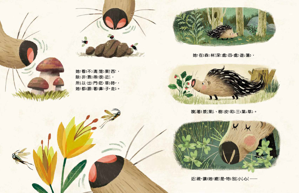 原來我不需要害怕！──相信自己有能力面對恐懼（品格教育繪本：壓力管理／正迎未知）