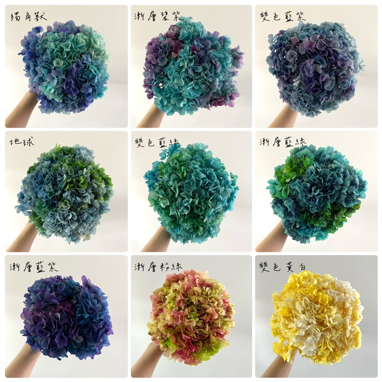 不凋大葉繡球花(帶桿)