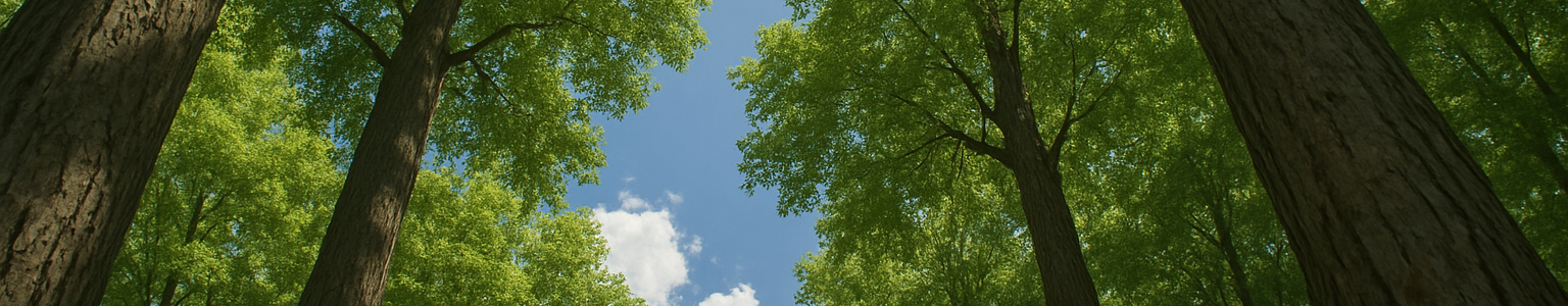 五行屬木的水晶