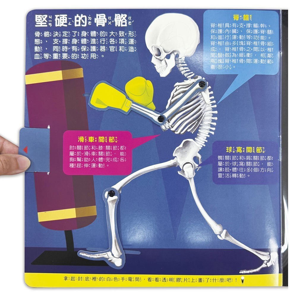 【樂森藥局】幼福文化 藏在身體的祕密【兒童生理啟蒙3D立體書】