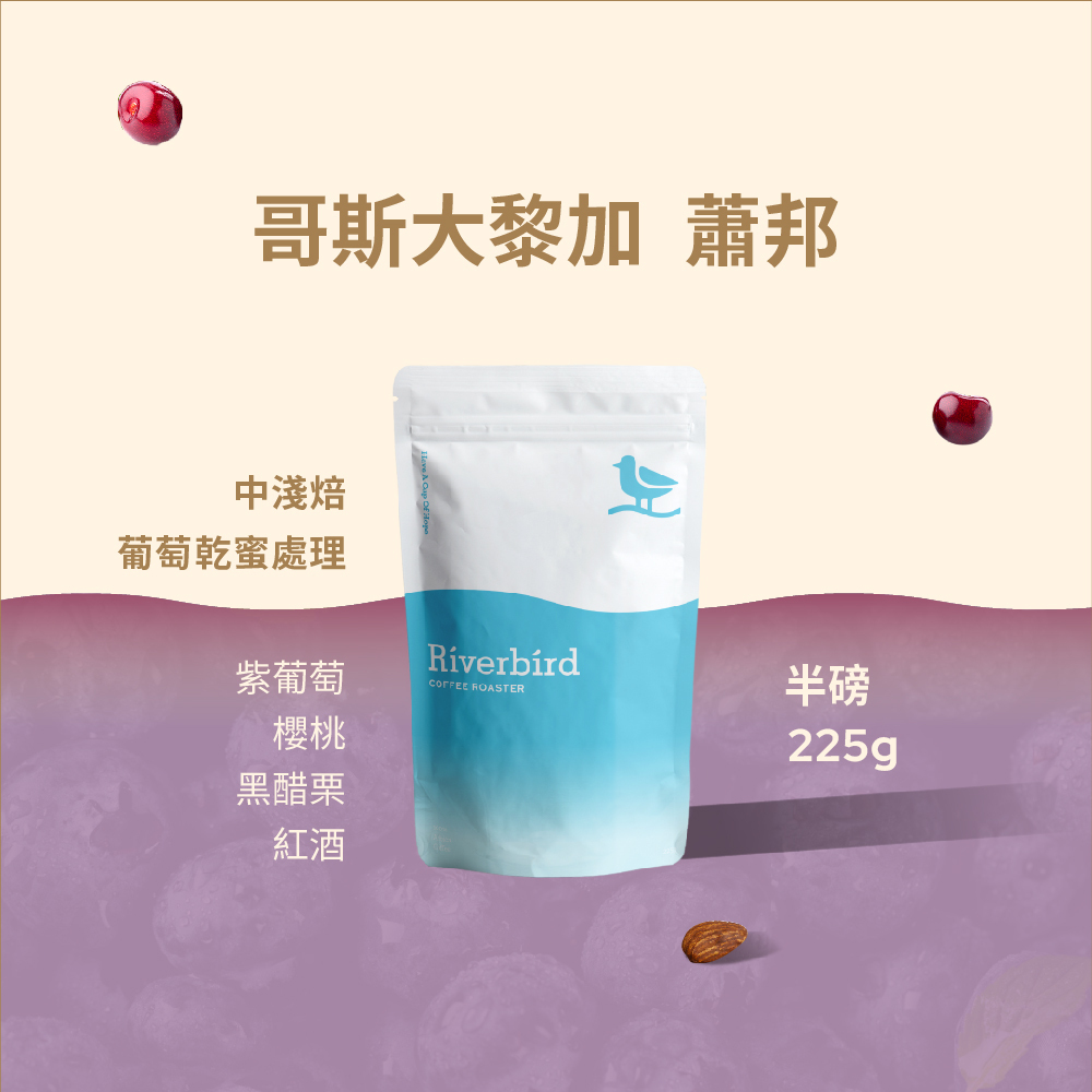 【Riverbird】《225g》哥斯大黎加 蕭邦 中淺焙