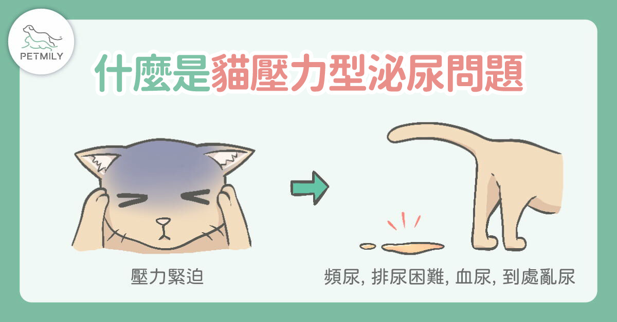 甚麼是貓壓力型泌尿問題？