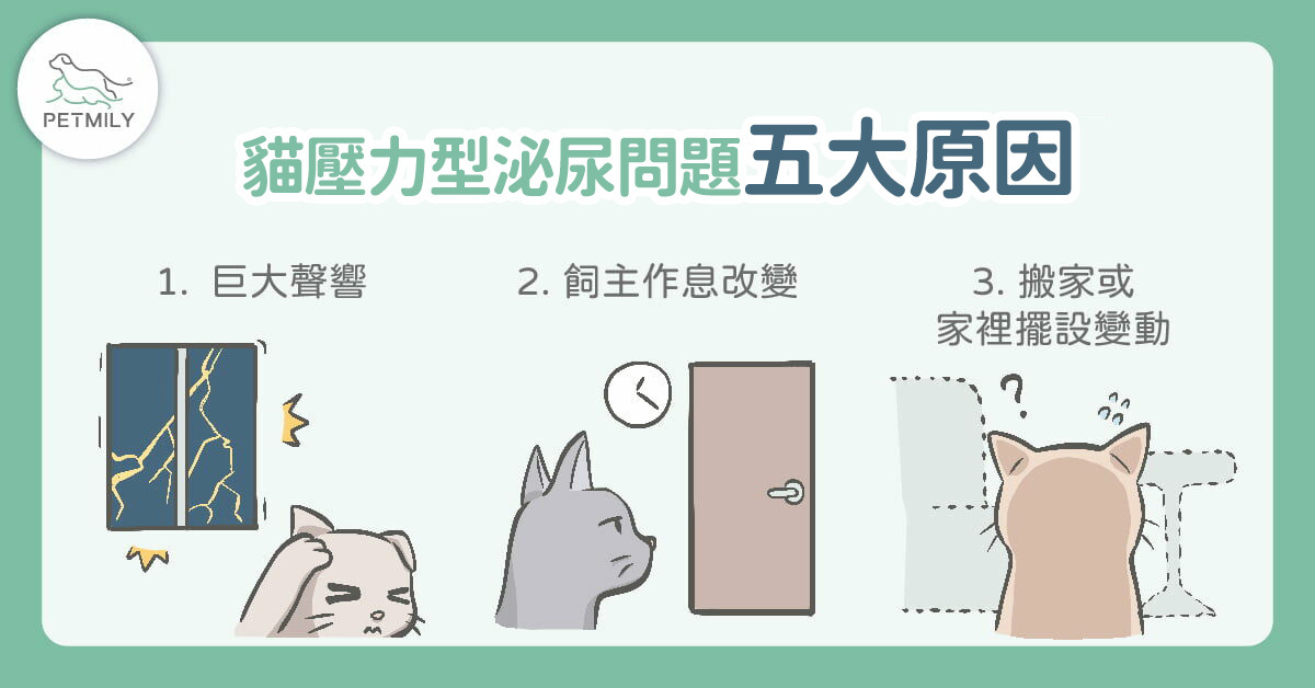 貓壓力型泌尿問題發生的五大原因-1
