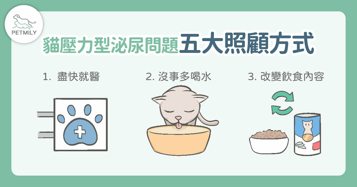 貓壓力型泌尿問題的五大照顧方式-1