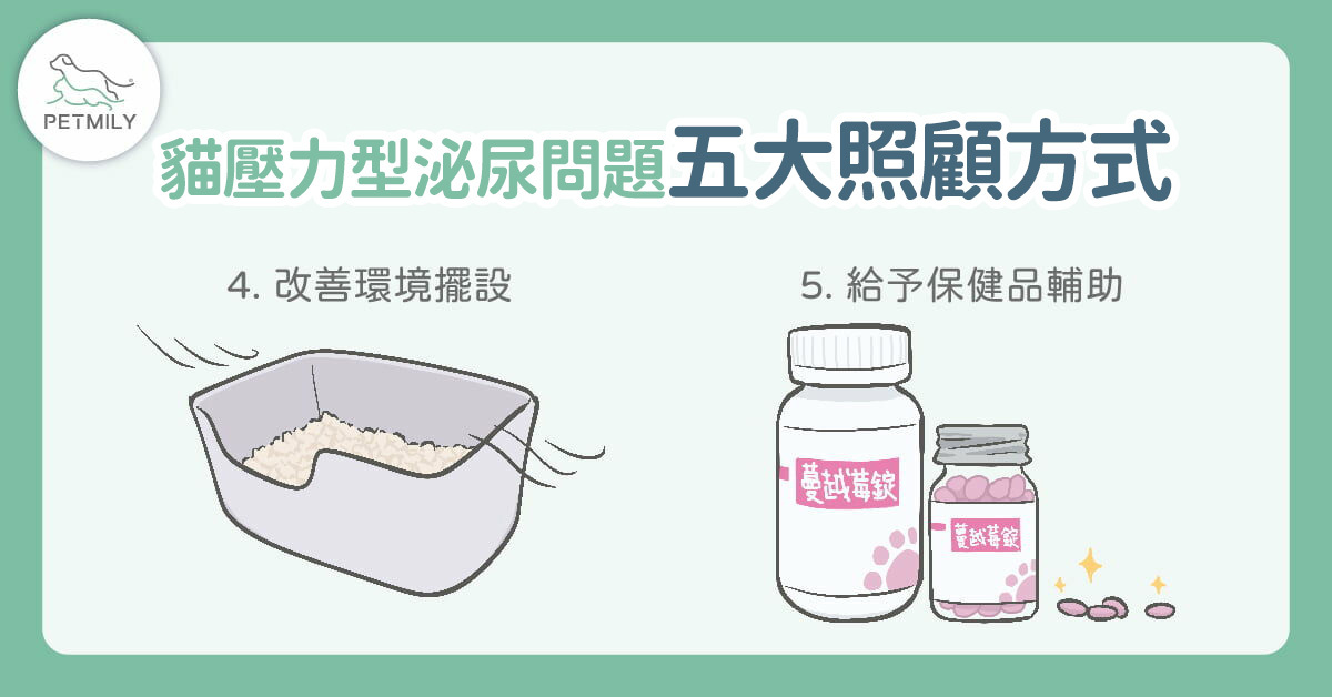 貓壓力型泌尿問題的五大照顧方式-2